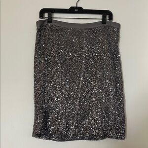 ✨🩶 J.Crew Gray Silver Sequin Pencil Skirt – Silk Lined Size 10 🩶✨
